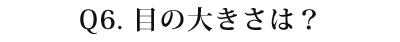 06 目の大きさは？