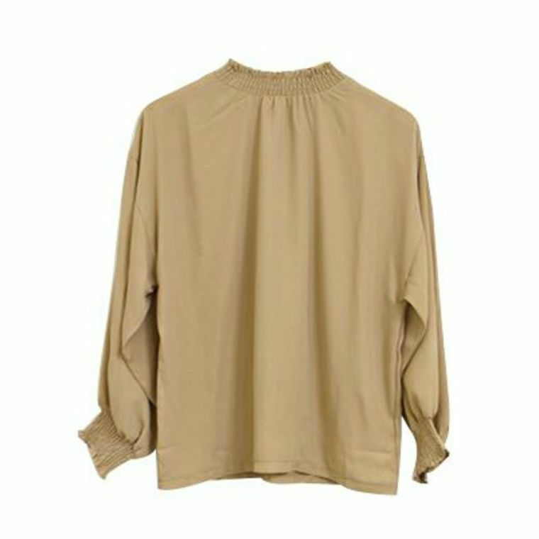 フリルスタンドカラーシフォン生地ブラウス | アクアガレージ