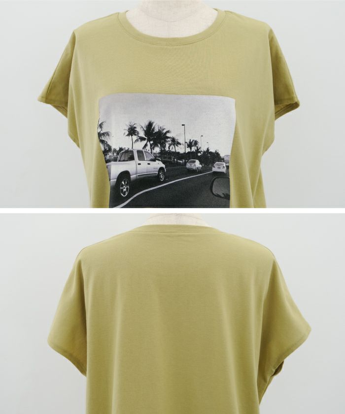 フォトプリントTシャツ レディース 春 夏 M ≪ゆうメール便配送